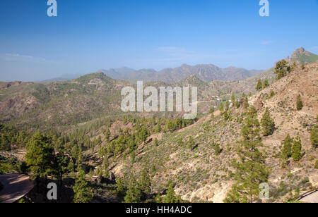 Zentralen Gran Canaria, Gegend um Cruz Grande Stockfoto