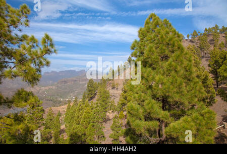 Zentralen Gran Canaria, Naturpark Pilancones in San Bartolome de Tirajana-Gemeinde Stockfoto