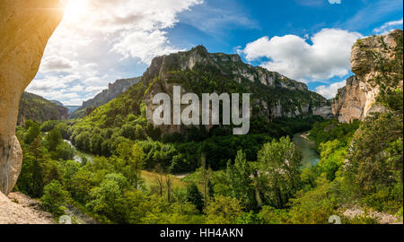 Gorges Du Tarn, Aveyron, Frankreich. Stockfoto