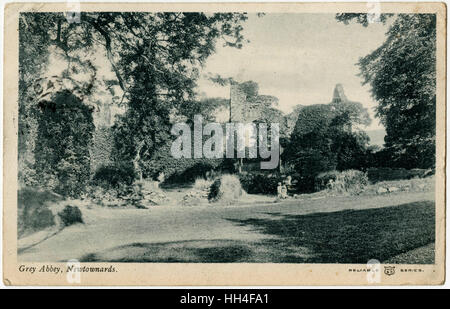 Grau, Abtei, Newtownards, Ards Peninsula, Nordirland Stockfoto