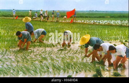 Kommunistisches China - Landarbeiter Stockfoto