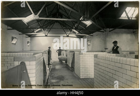 Royal Victoria Hospital Farm Colony, Polton, Schottland Stockfoto