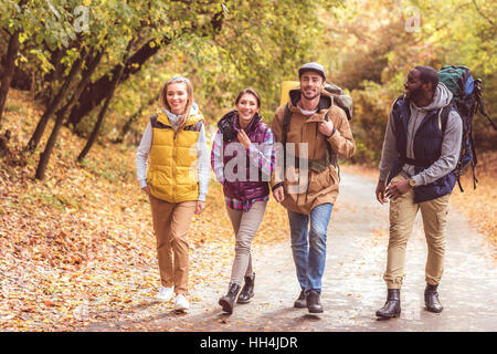 Gruppe der glückliche junge Rucksacktouristen Wandern im herbstlichen Wald Stockfoto