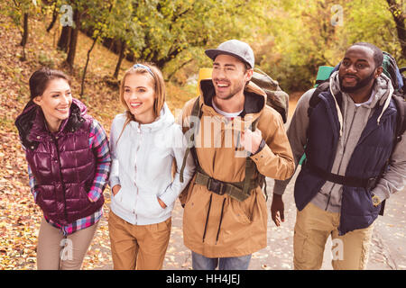 Gruppe der glückliche junge Rucksacktouristen Wandern im herbstlichen Wald Stockfoto