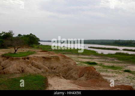 Landschaft-Schuss eines Flusses in das Selous Game Reserve in Tansania (Afrika) Stockfoto