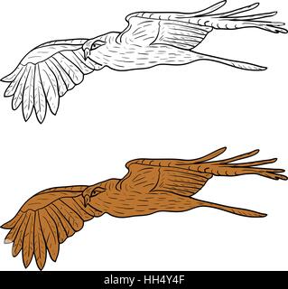 Skizzieren Sie wunderschöne Adler auf weißem Hintergrund. Vektor-Illustration. Stock Vektor