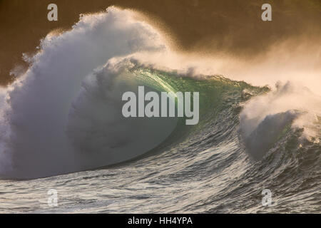 Eine Ufer brechen Welle während einen großen Swell in Waimea Bay auf der Nordküste von Oahu. Stockfoto