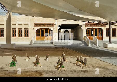 Hotel liegt im Zentrum von Doha, ist die Falcon-Souk ein Markt live Falken Vögel und Falknerei Ausrüstung zu verkaufen Stockfoto