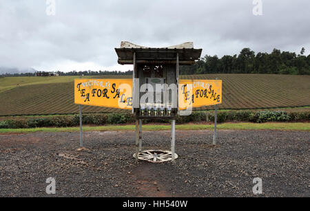 Unbemannte Tee For Sale Stand am Straßenrand, neben den Nucifora Tee Plantage in Far North Queensland, Australien Stockfoto