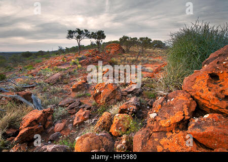 Westlichen Bereich im Mutawintji National Park. Stockfoto