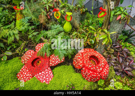 Singapur, Gärten durch die Bucht, Lego fleischfressenden Pflanzen im Cloud Forest green house Stockfoto