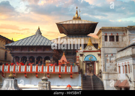 Frei gehen Affe. Votiv Tempel und Schreine in Folge Pashupatinath Tempel in Kathmandu, Nepal. Stockfoto