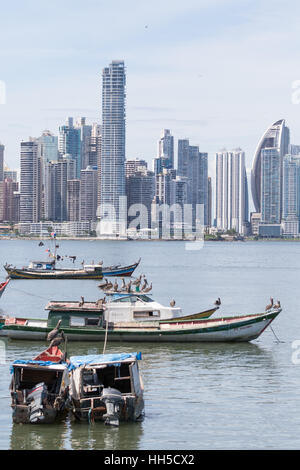 15. Juni 2016 Panama-Stadt: Pelikane stehen auf einem kleinen Fischerboot auf dem Wasser schwimmen, durch die Innenstadt Stockfoto