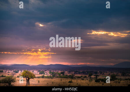 Frühen Sonnenaufgang, schönen Glanz der Sonnenstrahlen zwischen den Wolken, Safari Stockfoto