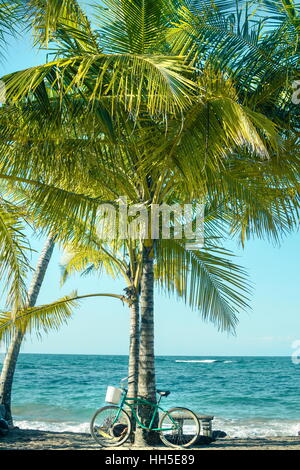 Fahrrad, stützte sich auf einer Palme am Meer Stockfoto
