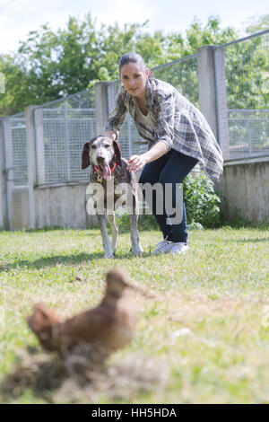 Bewegtbild-Foxterrier genießen Wasser Stockfoto