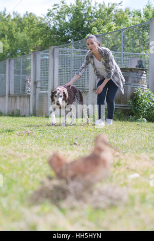 Bewegtbild-Foxterrier genießen Wasser Stockfoto