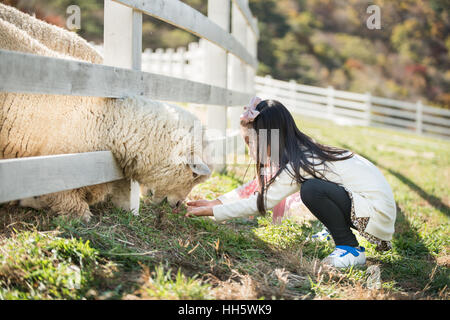 Glückliches Mädchen Fütterung Schafe Ranch in Südkorea Stockfoto