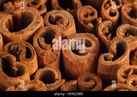 Makrofoto der Enden der Zimt-sticks.  Sehr geringe Schärfentiefe mit dem Schwerpunkt in der Mitte. Stockfoto