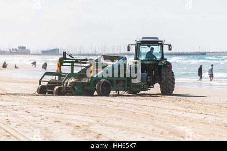 ASHDOD, ISRAEL - 13. Januar 2017: Traktor reinigt den Sand am Strand Stockfoto