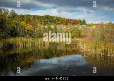 Herbstliche Parklandschaft mit einem sonnendurchfluteten Teich, lebendigen Herbstfarben auf Bäume und strahlend blauer Himmel. Stockfoto