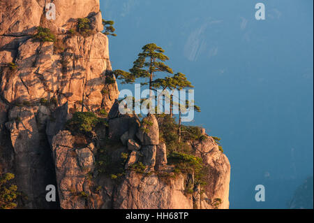 Sonnenaufgang von Lion Peak, Huangshan Mountain, China. Am frühen Morgensonne leuchtet die Klippen unten und Aussichtsplattform. Gebirge und Atmosphäre. Stockfoto