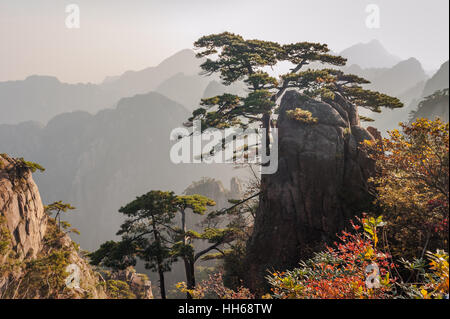 Sonnenaufgang von Lion Peak, Huangshan Mountain, China. Am frühen Morgensonne leuchtet die Klippen unten und Aussichtsplattform. Gebirge und Atmosphäre. Stockfoto