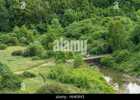 Zwei Menschen sitzen zusammen auf einer bewaldeten Brücke über einen Fluss an einem schönen Sommertag. Viel Grün ringsum. Blick von der Rückseite des Menschen- Stockfoto