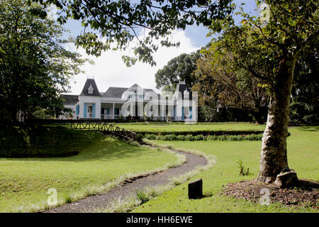 Une petite Promenade à l'Abri de camphriers, Plantes exotiques et Schneckaufkommen arbres endémiques de l'Ile. une petite Promenade à l'Abri de camphriers, Stockfoto