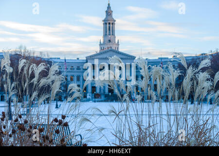 Winter im Denver Civic Center - ein kalter Dezemberabend im Denver Civic Center. Das Denver Rathaus im Hintergrund. Stockfoto