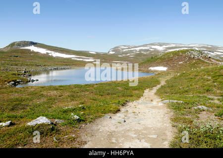 Lappland Landschaft: Wanderweg im Malla strenge Naturschutzgebiet Kilpisjarvi, Lappland, Finnland, Europa Stockfoto