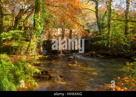 Draynes Brücke über den Fluss Fowey in Draynes Holz auf Bodmin Moor, Cornwall, England. Stockfoto