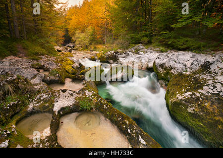 Herbstfarben in der schönen Mostnica Schlucht in Slowenien. Stockfoto