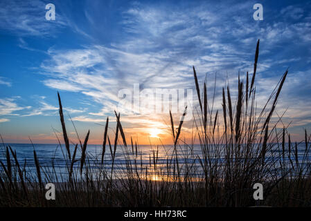 Sonnenuntergang am Atlantik, Strandhafer Silhouette in Lacanau-Frankreich Stockfoto