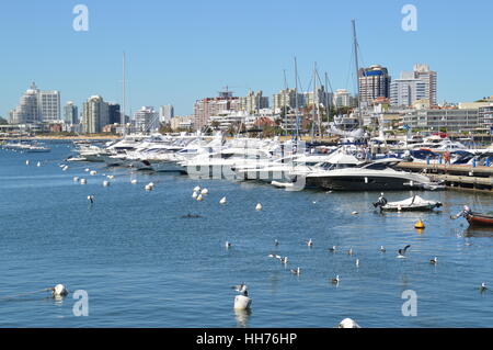 Yachten und Boote angedockt an den malerischen Hafen von Punta del Este in Uruguay. Stockfoto