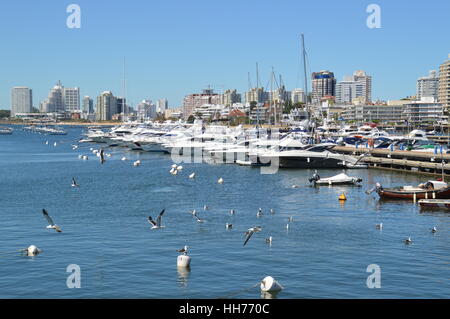 Yachten und Boote angedockt an den malerischen Hafen von Punta del Este in Uruguay. Stockfoto