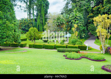 Rasen und Hecke in einen Sommerpark Stockfoto