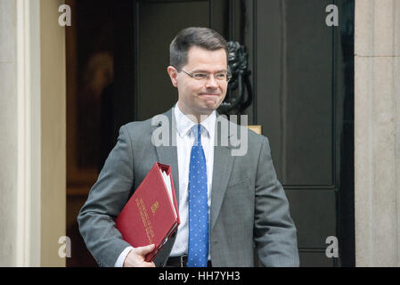 London, UK. 17. Januar 2017. James Brokenshire, Nordirland Sekretärin, Blätter 10 Downing Street. Bildnachweis: Ian Davidson/Alamy Live-Nachrichten Stockfoto