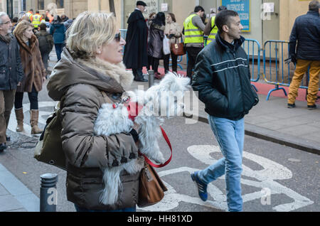 Madrid, Spanien. 17. Januar 2017. Fest der feste St. Anton in St. Anton Kirche, Schutzpatron der Tiere, organisiert von Frieden boten am 17. Januar, Madrid, Spanien. Bildnachweis: Enrique Davó/Alamy Live-Nachrichten Stockfoto