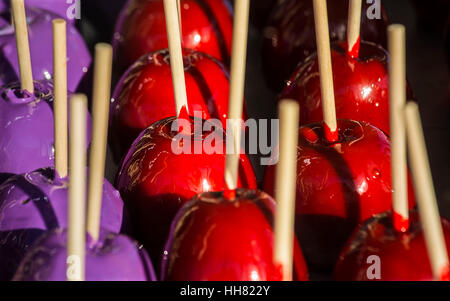 Palm Beach County, Florida, USA. 12. Januar 2017. Candy Äpfel auf der South Florida Fair, 13. Januar 2017. Bildnachweis: Greg Lovett/The Palm Beach Post/ZUMA Draht/Alamy Live-Nachrichten Stockfoto