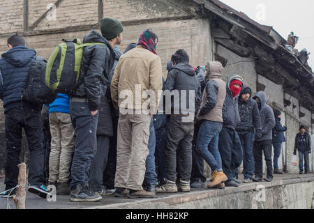 Belgrad, Serbien. 17. Januar 2017. Flüchtlinge in der Schlange für Lebensmittel außerhalb einer verlassenen Lagerhalle wo sie Unterschlupf Credit fand verteilt stehen: Alessandro Mazzola/Erwachen/Alamy Live News Stockfoto