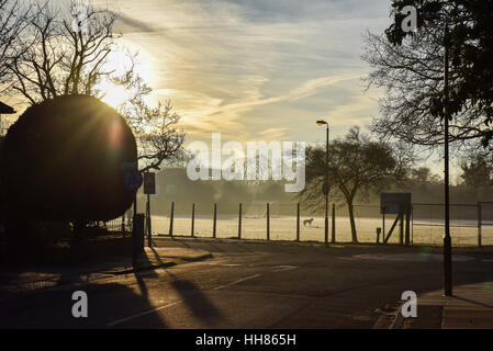 Twickenham, London, UK. 18. Januar 2017. Großbritannien Wetter. Einem kalten und frostigen Morgen in Twickenham. Bildnachweis: Matthew Chattle/Alamy Live-Nachrichten Stockfoto