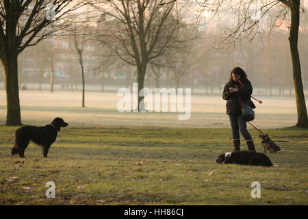 Finsbury Park, Nord-London, UK. 18. Januar 2017. Großbritannien Wetter. Eine Frau mit ihrem Hund in Finsbury Park, North London an einem kalten und frostigen Morgen Credit: Dinendra Haria/Alamy Live News Stockfoto