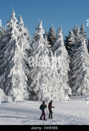 Hofsgrund, Deutschland. 18. Januar 2017. Zwei Schneeschuhläufer Fuß vorbei an verschneiten Bäumen auf Schauinsland Berg im Schwarzwald in der Nähe von Hofsgrund, Deutschland, 18. Januar 2017. Foto: Patrick Seeger/Dpa/Alamy Live News Stockfoto