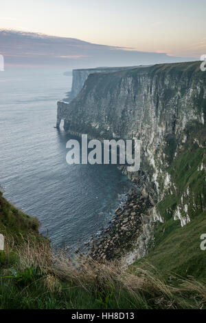 Schönen Morgen an Bempton Klippen an der Nordostküste Englands. Dramatisch steilen Kreidefelsen. Stockfoto