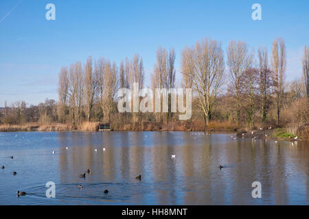 Der See in South Norwood Country Park im Winter in Croydon England Stockfoto