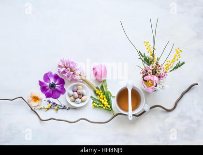 flache Lay mit Frühlingsblumen auf weißen und grauen gemalten Kulisse in natürlichem Licht gelegt Stockfoto