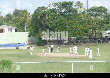 Cricket-Match in der Karibik Stockfoto