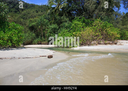 Penang Nationalpark Stockfoto