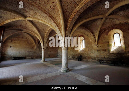 CHIUSDINO, Italien, 26. Juli 2016: Innenansicht der gotische Abtei von San Galgano am 26. Juli 2016 in Chiusdino, Siena, Toskana, Italien. Stockfoto